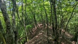 PXL_20220827_023017924
