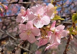 PXL_20260228_011620036~2