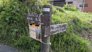 PXL_20260411_231118960