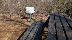 PXL_20260308_012537129