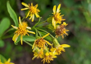 PXL_20220806_025257403