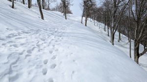 PXL_20260322_023332404