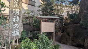 PXL_20260228_073119715