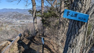 PXL_20260308_000150379