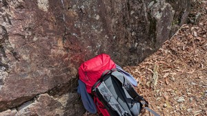 PXL_20260412_003212057