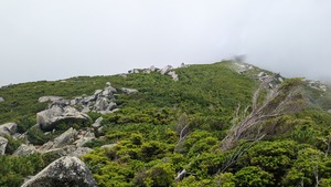 PXL_20220806_011323510