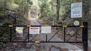 PXL_20260411_231959895