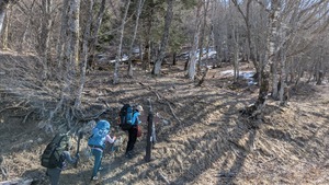 PXL_20260314_004451795