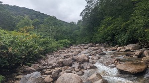 PXL_20220903_021006760