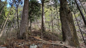 PXL_20260412_001836227