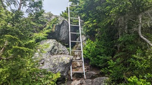 PXL_20220806_010440199
