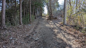 PXL_20260308_002522184