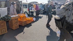 PXL_20260228_002600127