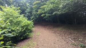 PXL_20220820_042845202