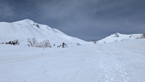 PXL_20260405_011017390