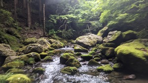 PXL_20220819_233751420