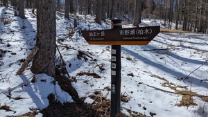 PXL_20260314_004954339