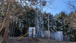 PXL_20260308_004247300