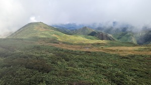 PXL_20220904_014740486