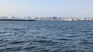 PXL_20260411_064918292