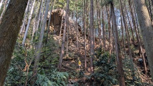 PXL_20260329_051121759
