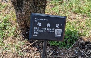 PXL_20260228_014427943