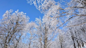 PXL_20260301_034234088~2