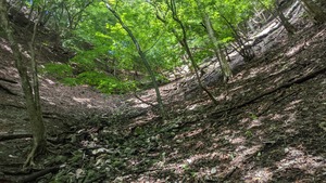PXL_20220827_031202064
