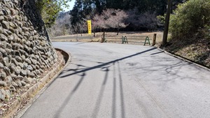 PXL_20260308_015402831