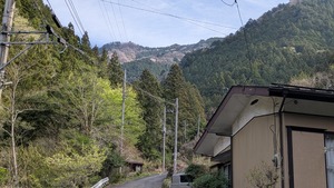 PXL_20260411_231331659