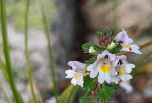 PXL_20220806_073541370