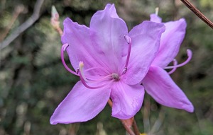 PXL_20260411_231429156