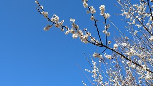 PXL_20260308_010624638