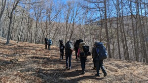 PXL_20260313_233804850