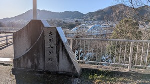 PXL_20260307_223747214