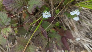 PXL_20220904_000808143