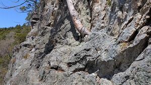 PXL_20260412_021006415