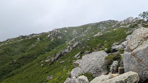 PXL_20220806_013644734