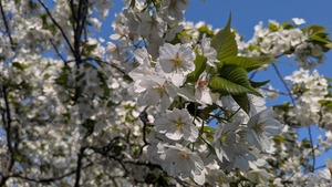 PXL_20260411_070728777