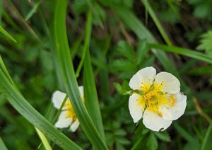 PXL_20220806_031237311