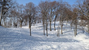 PXL_20260321_230423047