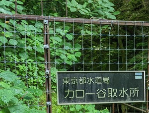 PXL_20220723_002758050