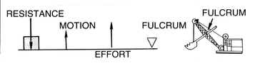 wiki-class-3-lever