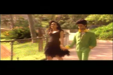 prince-the-morning-papers-3-zoo