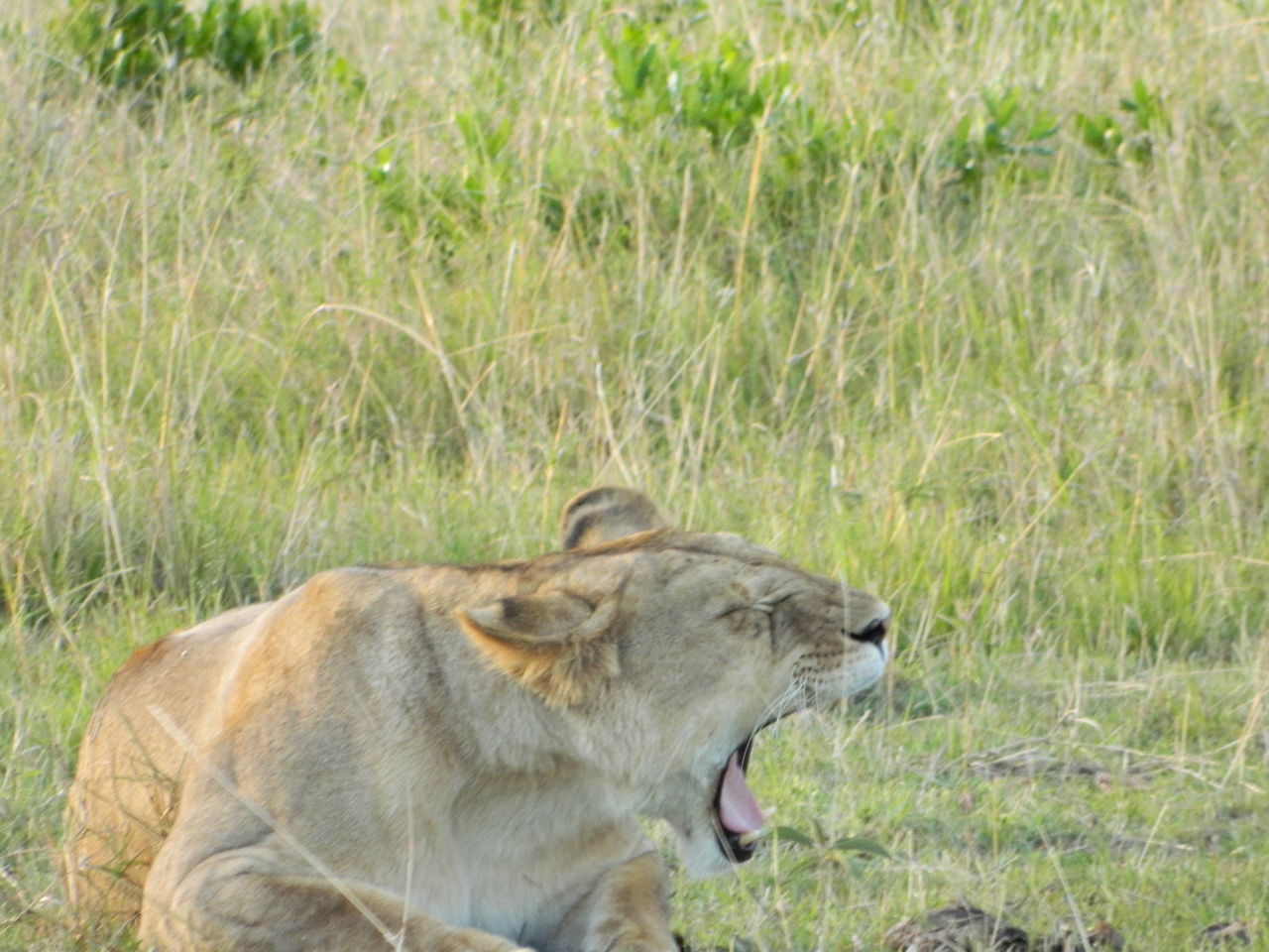 Sexは回数か 時間か それとも愛か Bacchusを捜して 世界一周跡