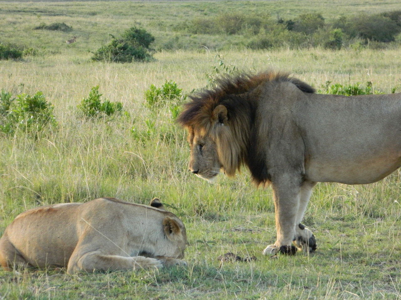 Sexは回数か 時間か それとも愛か Bacchusを捜して 世界一周跡