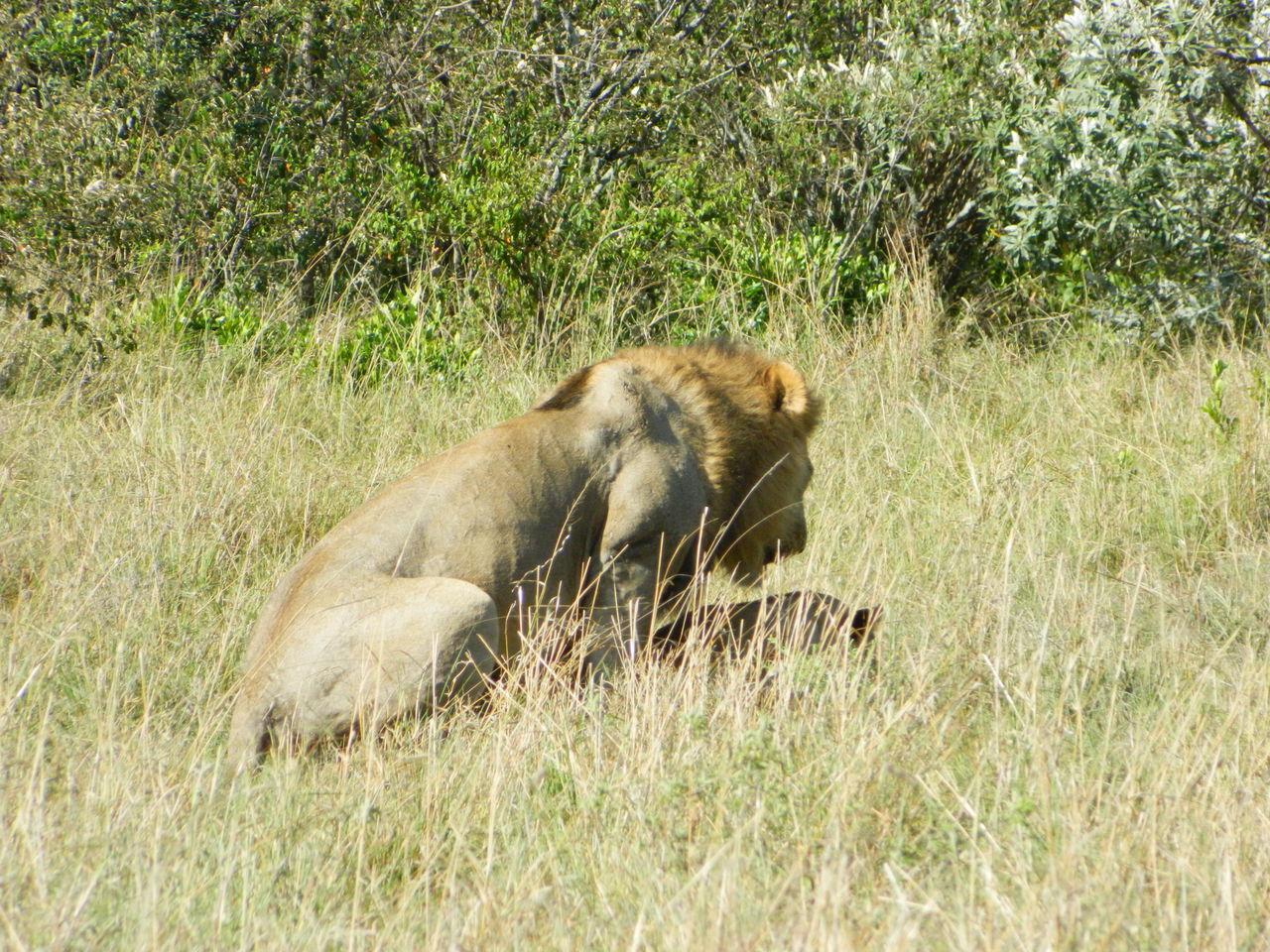 Sexは回数か 時間か それとも愛か Bacchusを捜して 世界一周跡