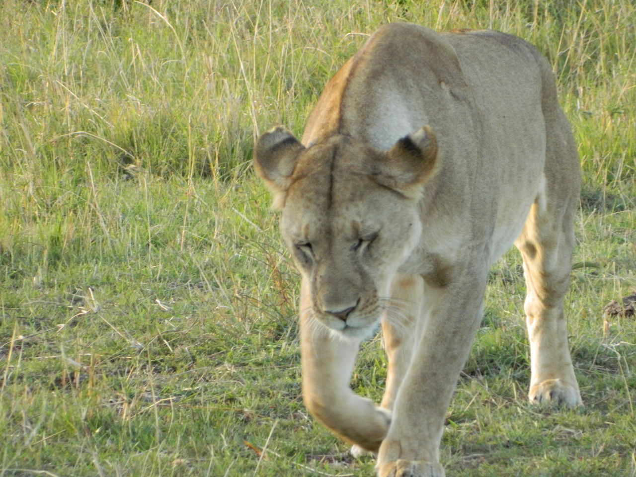 Sexは回数か 時間か それとも愛か Bacchusを捜して 世界一周跡