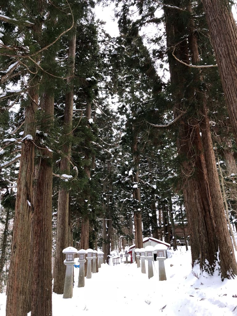 18年02月09日 きっぷ鉄 １番乗りの小島