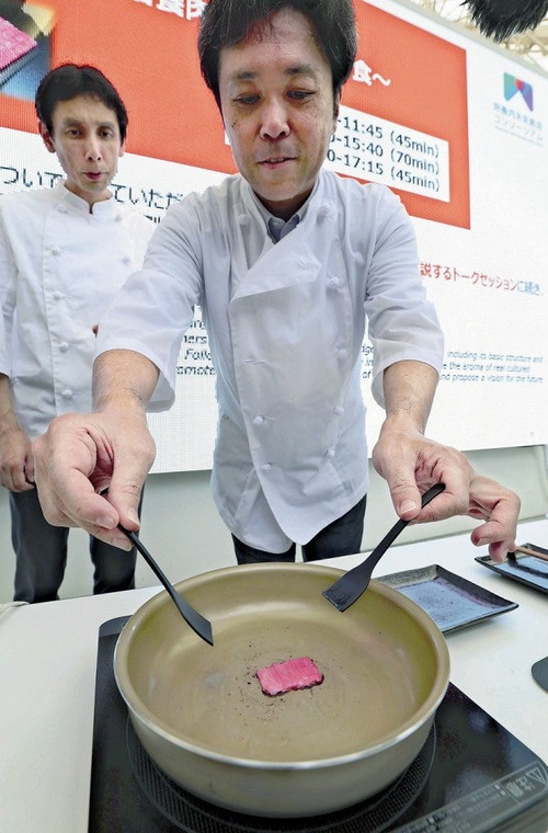 【画像】「培養肉」を焼いて匂いを楽しむイベント、肉のサイズがヤバすぎるｗｗｗｗｗ